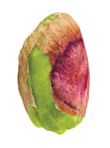 pistachio-isolated-white-background-clipping-path_174533-1702 (3)-Recovered