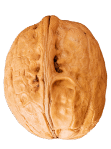 Pistachio-Nuts-r