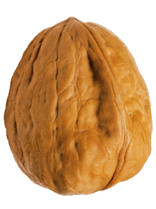 Pistachio-Nuts-w