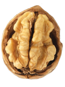 chandler-walnut