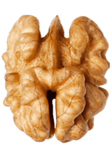 walnuts-half