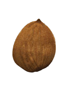 marcona