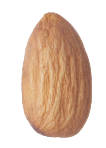 non pariel pop